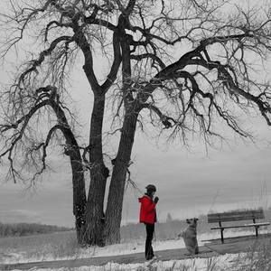 Meet your Posher, Delainey